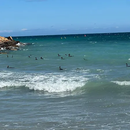 Residentie Gala Διαμέρισμα